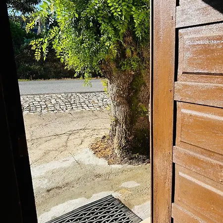 Mae Home Carril Caldas Da Rainha Buitenkant foto